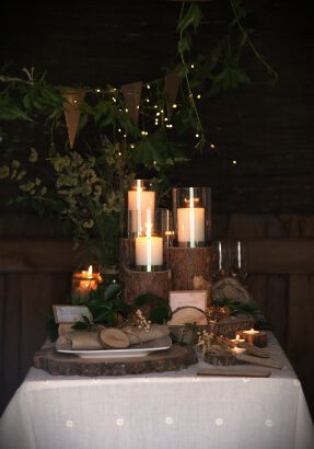 Pieńki drewniane dekoracyjne 3 szt +plaster drewna