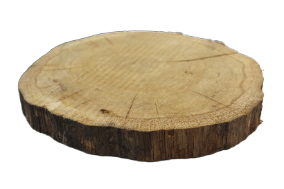 Plaster drewna 15-25 cm